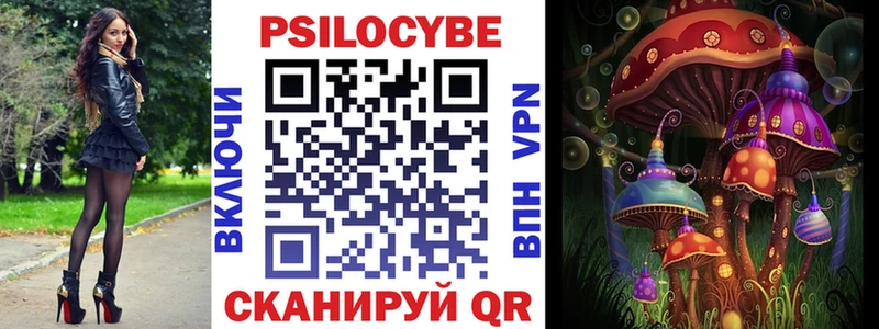 Псилоцибиновые грибы Cubensis  Купить где  Новокузнецк 